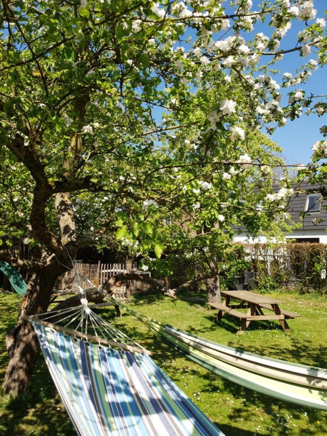 B&B Resort Tremele Dreumel ภายนอก รูปภาพ